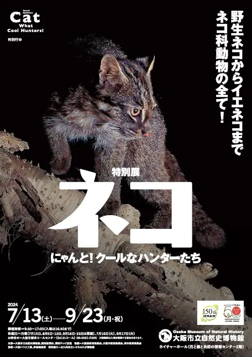 歴史猫 大阪市立自然史博物館 特別展「ネコ」 ～にゃんと！クールなハンター