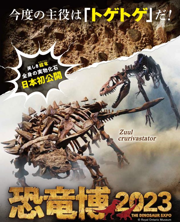 7/7（金）～9/24（日）	特別展「恐竜博 2023 」  THE DINOSAUR EXPO2023