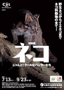 大阪市立自然史博物館　特別展「ネコ」 ～にゃんと！クールなハンターたち～