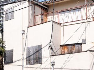 山本真人 | Tiger Park